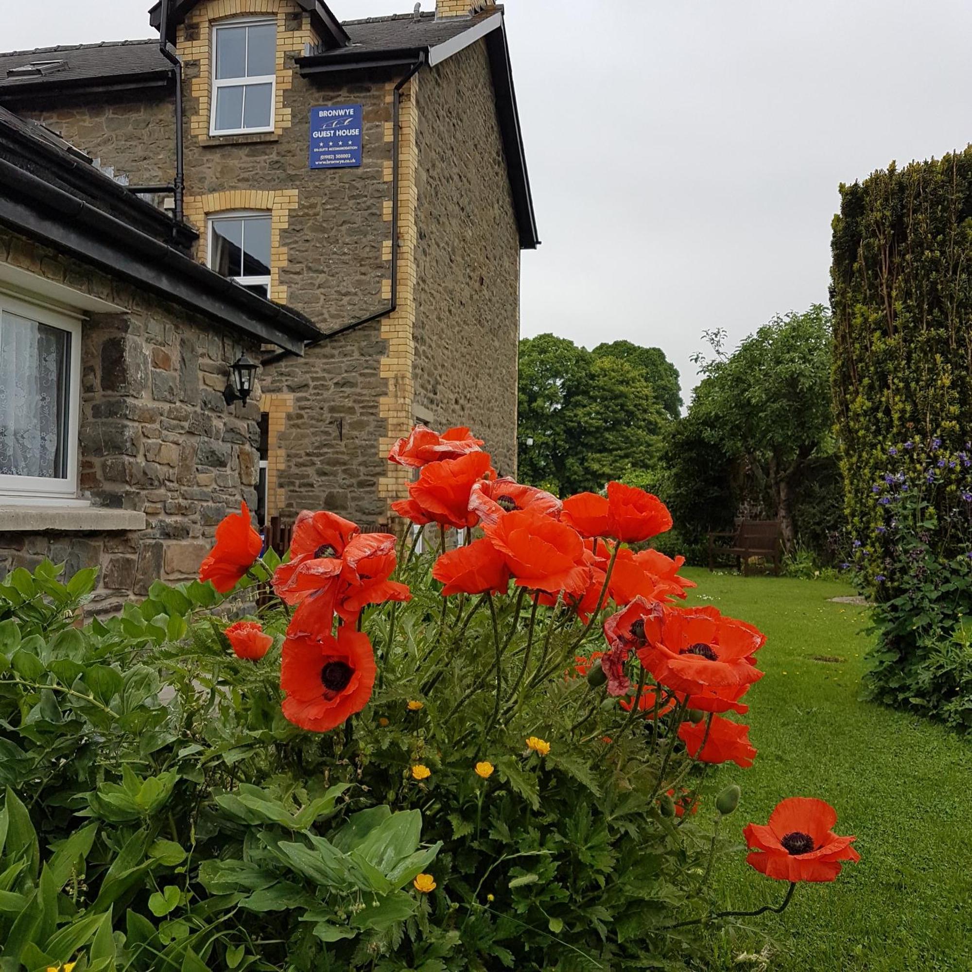 Hotel Bronwye Builth Wells Zewnętrze zdjęcie